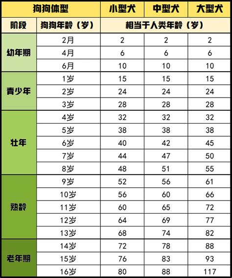 未成年母狗|狗多大算成犬（狗狗年龄对照计算表）